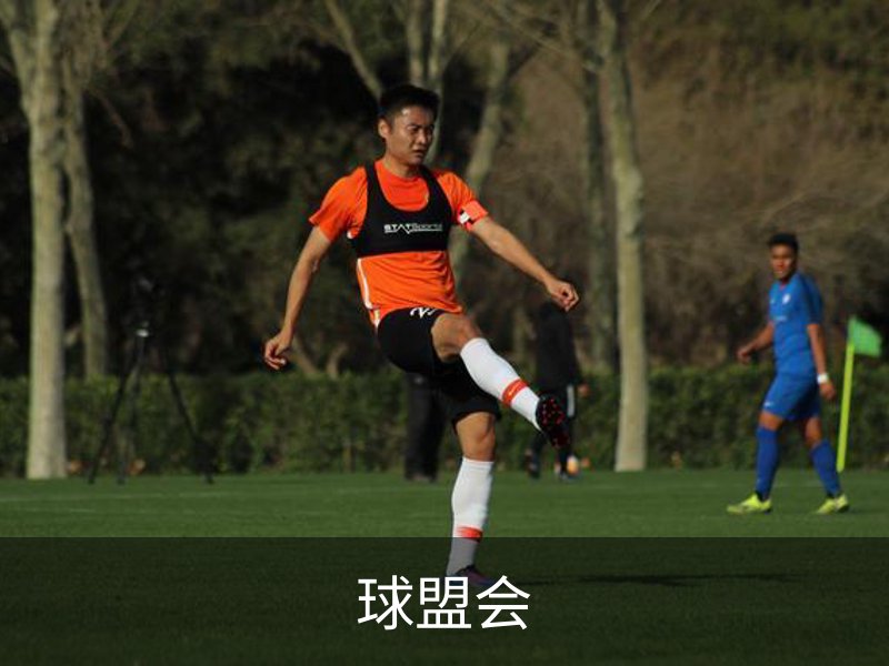 球盟会介绍