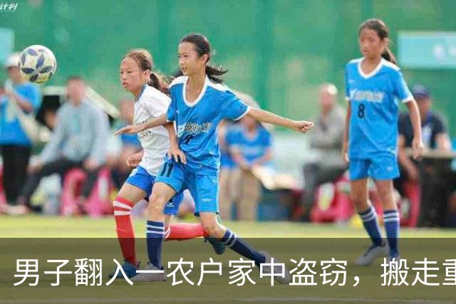 男子翻入一农户家中盗窃，搬走重达百斤的保险箱，里面装有57万元现金和300多克黄金，法院：判处有期徒刑十年六个月，并处罚金二十万元